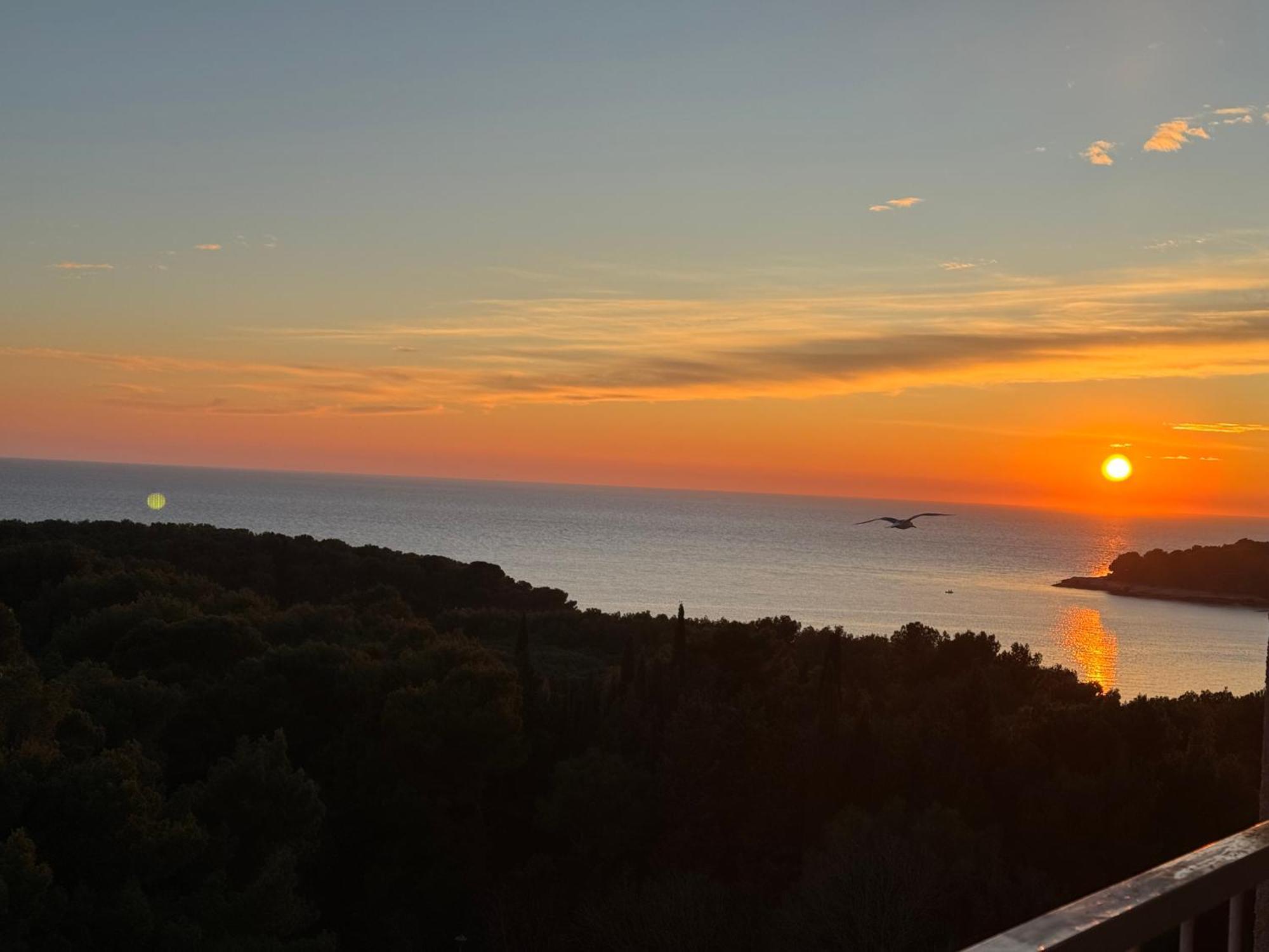 Panoramic * Póla