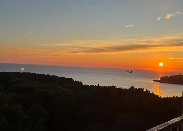 Apartment Panoramic