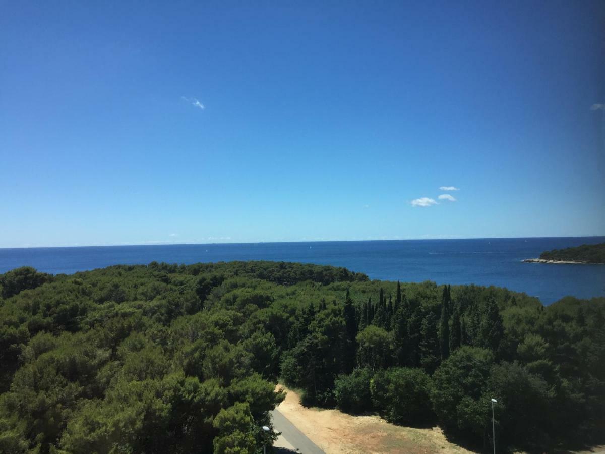 Panoramic *