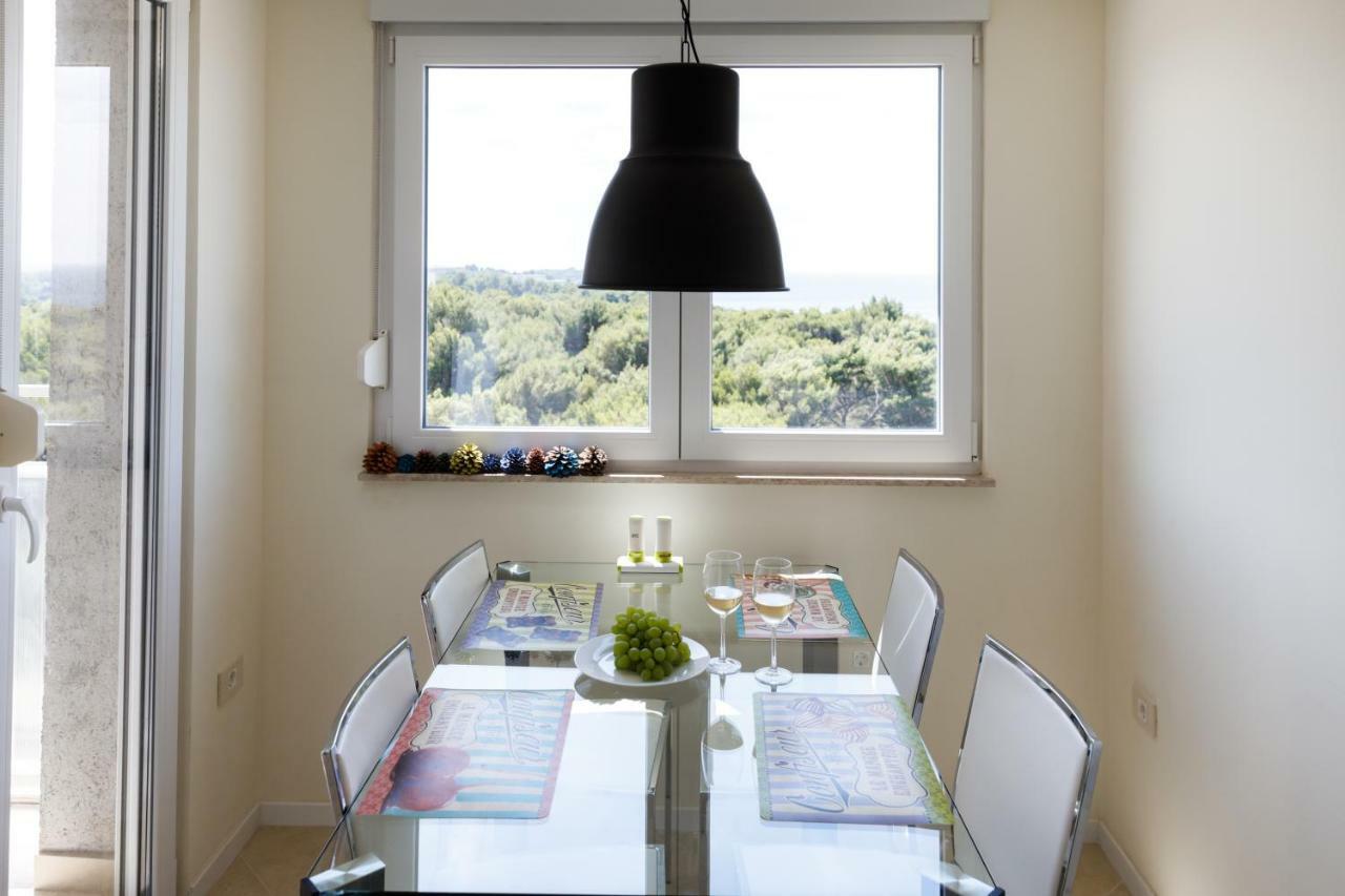 Panoramic Apartment Pula